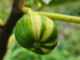 다야님의 자유주제 · 자유게시판 작성글 사진