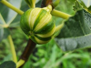 다야님의 자유주제 · 자유게시판 작성글 사진