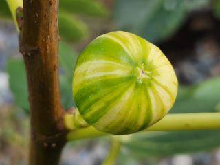 다야님의 자유주제 · 자유게시판 작성글 사진