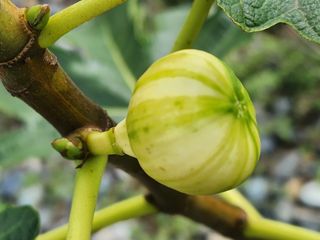 다야님의 자유주제 · 자유게시판 작성글 사진