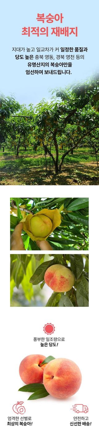 정유진님의 작성글 사진