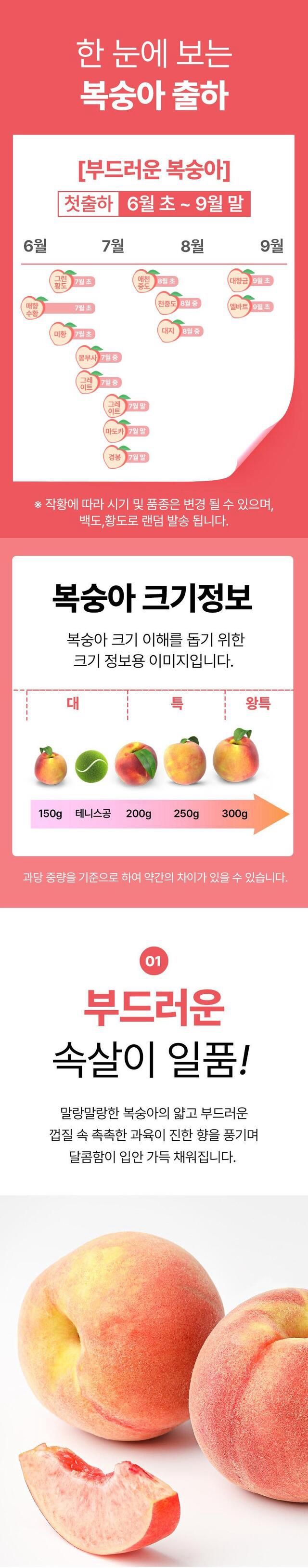 정유진님의 장터 판매 상품 [당천 부드러운 복숭아 6-8입 2kg(특)] 첨부 사진