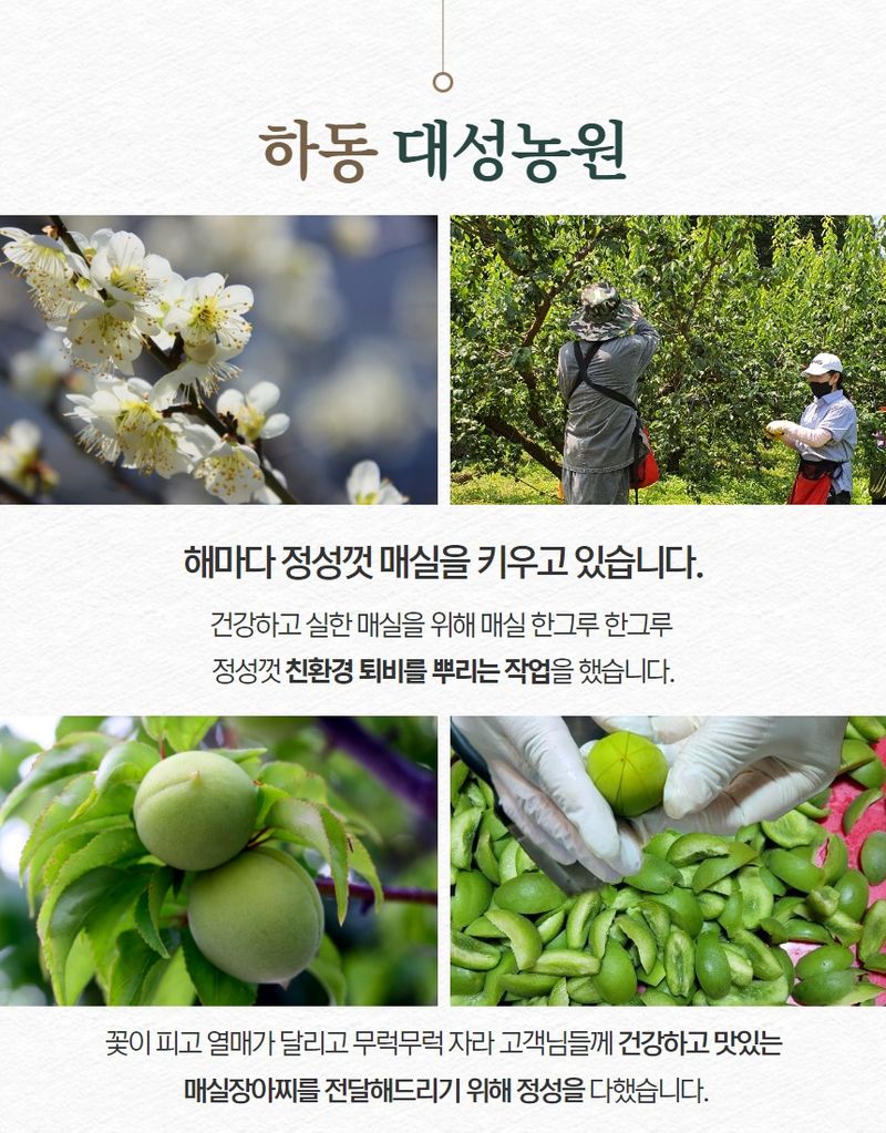 정유진님의 장터 판매 상품 [하동 대성농원 매실 장아찌 1kg] 첨부 사진