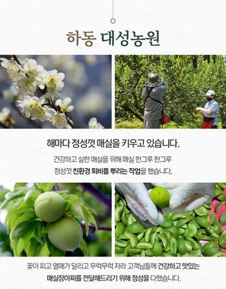 정유진님의 작성글 사진