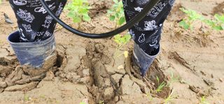 나으살던고향님의 자유주제 · 자유게시판 작성글 사진