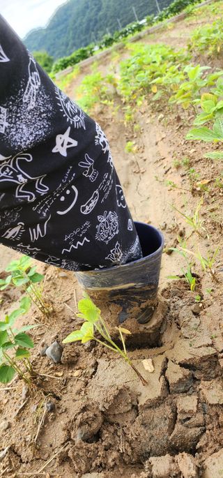 나으살던고향님의 자유주제 · 자유게시판 작성글 사진