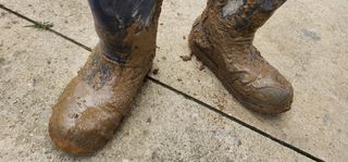 나으살던고향님의 자유주제 · 자유게시판 작성글 사진