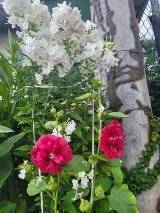 최유진님의 자유주제 · 자유게시판 작성글 사진