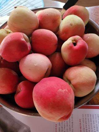 최유진님의 자유주제 · 자유게시판 작성글 사진