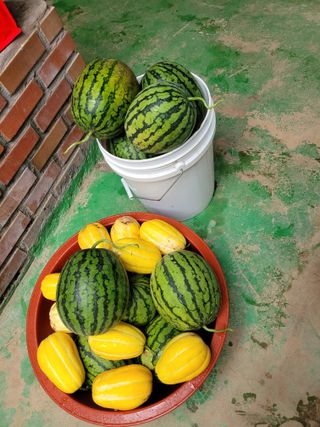 최유진님의 자유주제 · 자유게시판 작성글 사진