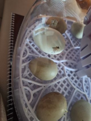 저금통님의 자유주제 · 자유게시판 작성글 사진