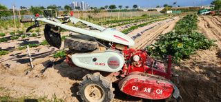 달빛님의 들깨 · 영농일지 작성글 사진