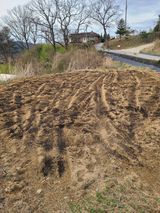 팜모닝 콩·자유게시판 게시글 이미지