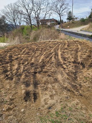 형주님의 콩 · 자유게시판 작성글 사진