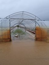팜모닝 자유주제·자유게시판 게시글 이미지
