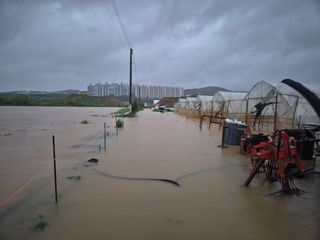 열무.대파.시금치님의 자유주제 · 자유게시판 작성글 사진