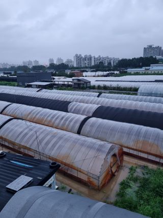 열무.대파.시금치님의 자유주제 · 자유게시판 작성글 사진