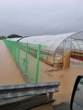 열무.대파.시금치님의 자유주제 · 자유게시판 작성글 사진