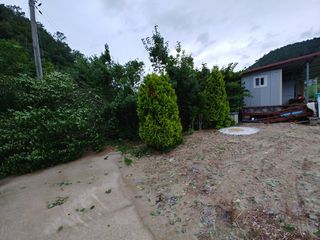 이덕수님의 자유주제 · 자유게시판 작성글 사진