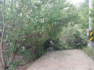 이덕수님의 자유주제 · 자유게시판 작성글 사진