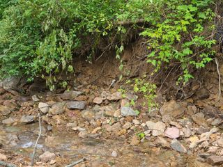 화성농원님의 사과 · 일상 작성글 사진