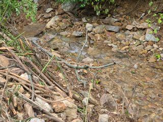 화성농원님의 사과 · 일상 작성글 사진