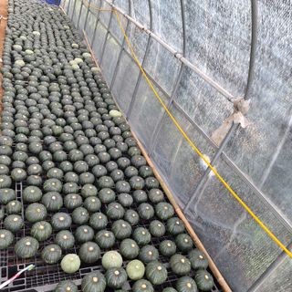 함평군 정순도님의 자유주제 · 자유게시판 작성글 사진