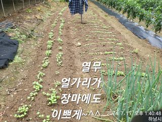 고골농장님의 자유주제 · 자유게시판 작성글 사진