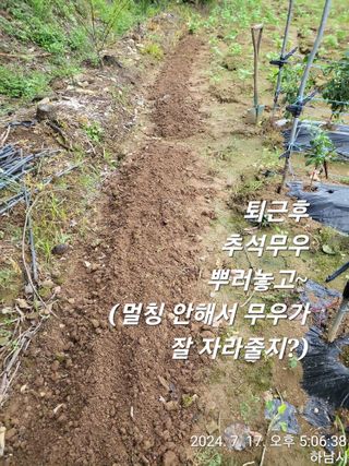 고골농장님의 자유주제 · 자유게시판 작성글 사진