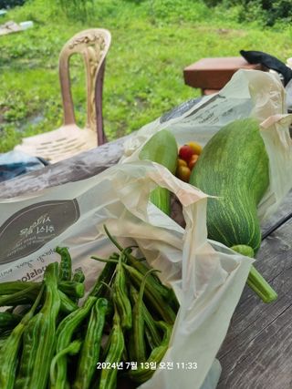 꿈사랑님의 고추 · 영농일지 작성글 사진