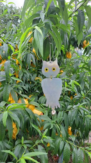 주윤발이님의 복숭아 · 영농일지 작성글 사진