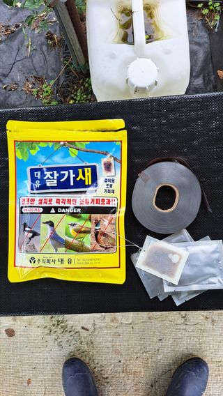 주윤발이님의 복숭아 · 영농일지 작성글 사진