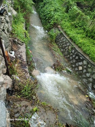 강화댁님의 자유주제 · 자유게시판 작성글 사진