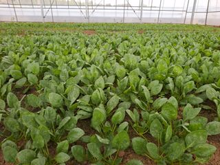 류우림님의 작성글 사진