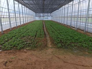 류우림님의 작성글 사진