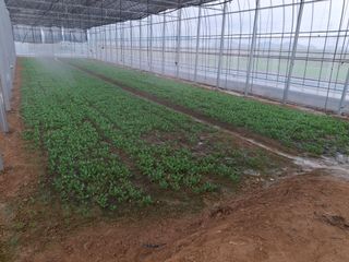 류우림님의 작성글 사진