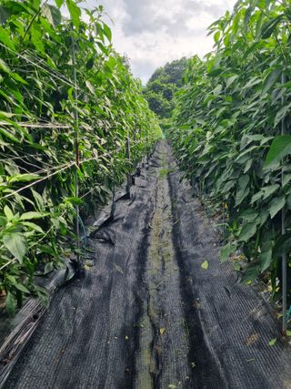 장재기님의 자유주제 · 자유게시판 작성글 사진