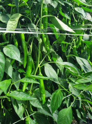 장재기님의 자유주제 · 자유게시판 작성글 사진