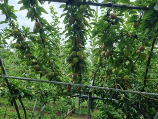 장재기님의 자유주제 · 자유게시판 작성글 사진