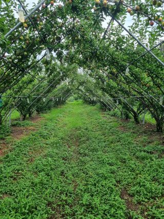 장재기님의 자유주제 · 자유게시판 작성글 사진