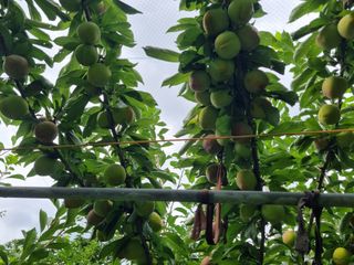 장재기님의 자유주제 · 자유게시판 작성글 사진