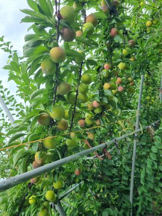 장재기님의 자유주제 · 자유게시판 작성글 사진