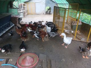 자유인 10496님의 자유주제 · 사진전 작성글 사진