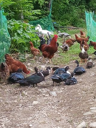 자유인 10496님의 자유주제 · 사진전 작성글 사진