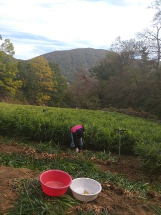 최군환님의 자유주제 · 자유게시판 작성글 사진