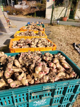 최군환님의 자유주제 · 자유게시판 작성글 사진