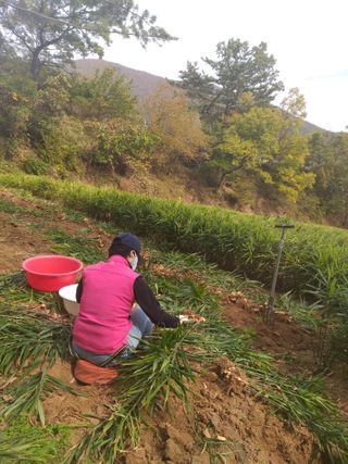 최군환님의 자유주제 · 자유게시판 작성글 사진