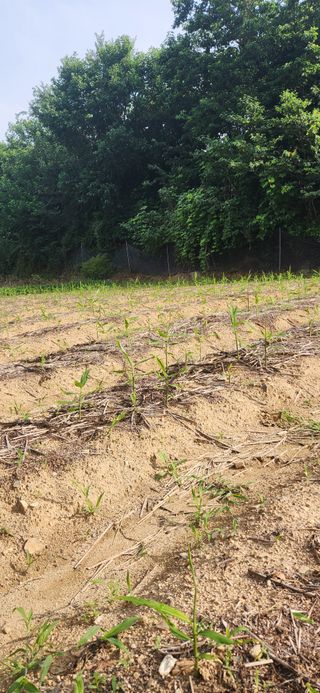 최군환님의 자유주제 · 자유게시판 작성글 사진