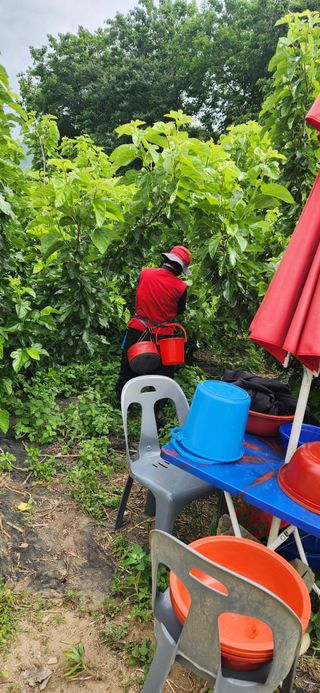 최군환님의 자유주제 · 자유게시판 작성글 사진