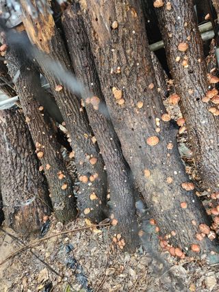 최군환님의 자유주제 · 자유게시판 작성글 사진